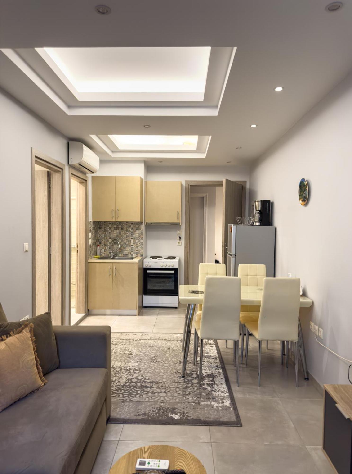 Contemporary & Spacious Renovated Apartment, Dt Syntagma, /Touristic Area アテネ エクステリア 写真